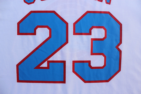 Maillot Manche Courte Tune Squad Jordan 23 Blanc